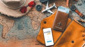 Travel Hedging Strategy